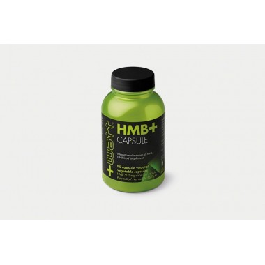 + Watt - HMB 90 cps.