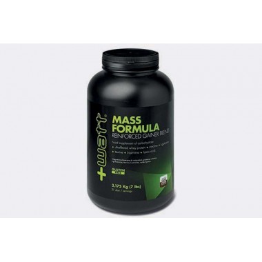 + Watt - Mass Formula Kg. 3,175