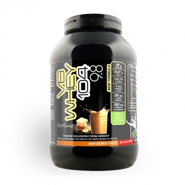 NET - VB WHEY 104 9.8 900 gr. wafer nocciola
